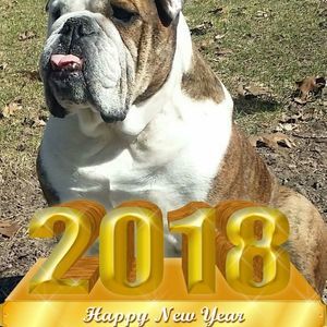 Meet your Posher, Jane